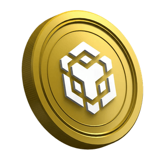 Binance BNB cryptocurrency coin on guide page for new trader